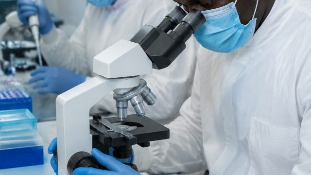 Unraveling the Origins of the Bundibugyo Virus Amid Ebola Concerns