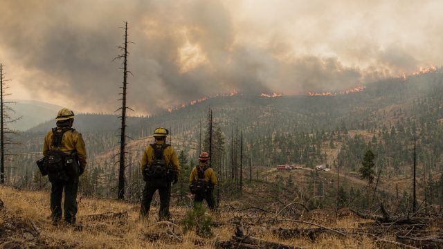 Emerging Wildfire Threat in Jemez Ranger District: What You Need to Know